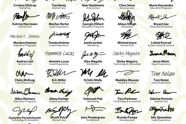 Public letter signatures 