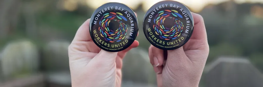 Two hands holding up an Monterey Bay Aquarium Workers United button with logo 